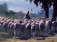 耶和华是我的牧者1